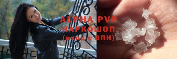 прущие грибы Армянск