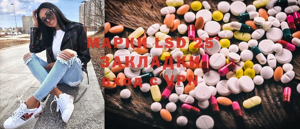 прущие грибы Армянск