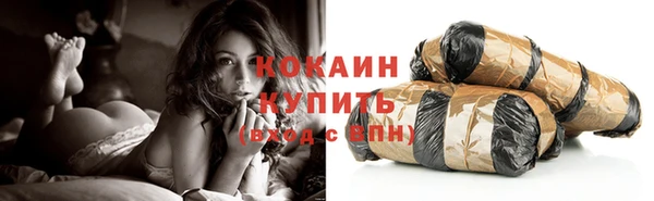 прущие грибы Армянск