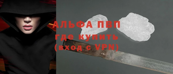 прущие грибы Армянск