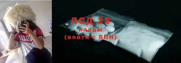 прущие грибы Армянск