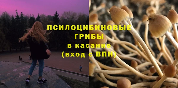 СК Аркадак